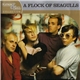 A Flock Of Seagulls - Platinum & Gold Collection